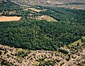 Aerial view of Hadleigh Great Wood (Belfairs Nature reserve) - geograph.org.uk - 1770279