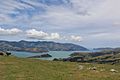 Akaroa Harbour 27