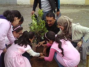 Arbor day in Algeria