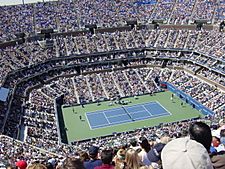 A tennis stadium pack with fans watching a grass court.