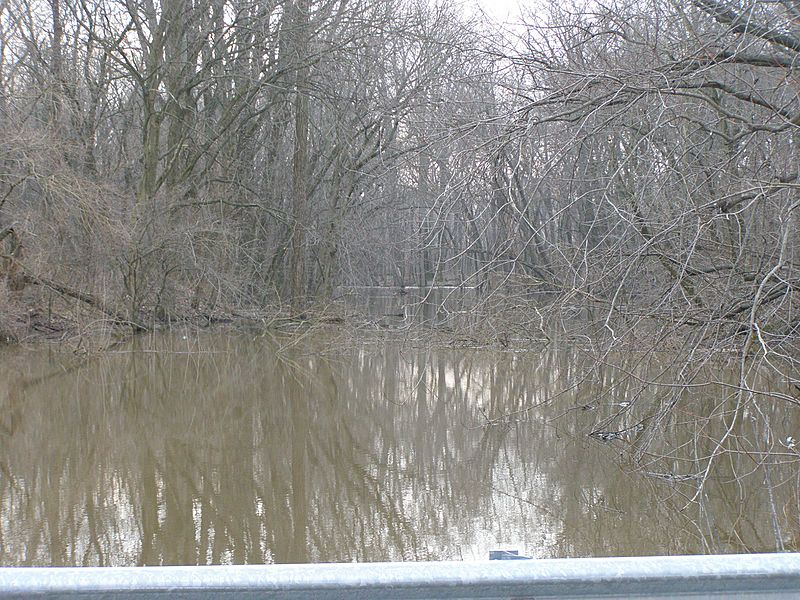 BB Kankakee - Baum site P1120030