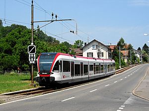 Beinwil am See Seetalbahn 2003-06-25 4528