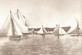 Bermuda sloop race