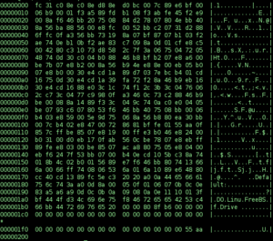 Binary executable file2