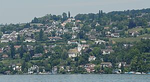 Blick vom Zürichsee auf Herrliberg (2009)