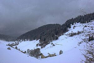 Bosco Chiesanuova (Grietz Dossetti Tinazzo) Lessinia VR Italy 2013-04-01 photo CTG ACA LESSINIA Paolo Villa 0055sp 04