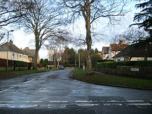 Briar Walk, Blackwell in Darlington - geograph.org.uk - 2738949.jpg