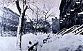 Brooklyn blizzard 1888
