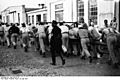 Bundesarchiv Bild 152-01-26, Dachau, Konzentrationslager