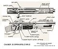 Caliber 30 Springfield Rifle