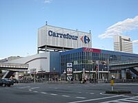 Carrefour Makuhari 20090415