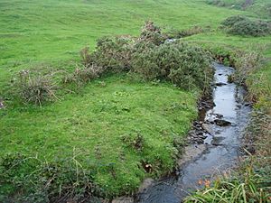 Carrowkeel River, Milltown Malbay