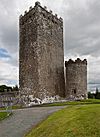 Castles of Munster, Drishane, Cork - geograph.org.uk - 1392786.jpg