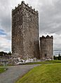 Castles of Munster, Drishane, Cork - geograph.org.uk - 1392786