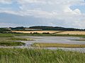 Cley Marshes Nature Reserve - geograph.org.uk - 1405631