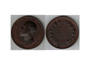 Colonial Indian medal 1886