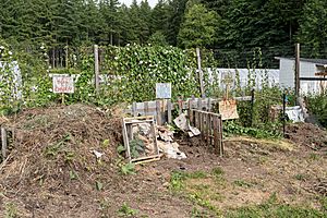 Compost bins at the Evergreen State College Organic Farm during mid June of 2019