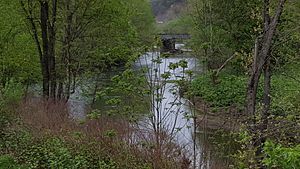 Cumberland river confluence baxter kentucky april 2017