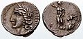 Denarius-Marsic Federation-Syd 627-1-