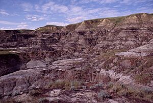 Drumheller Badlands 2006