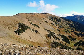 Elk Mountain in Olympic National Park.jpg