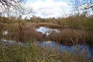 Felmersham Gravel Pits 23