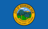 Flag of Mountain View, California