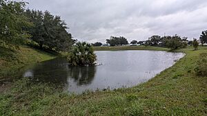 Flooded field as a result of hurricane milton
