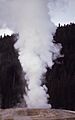 GiantessGeyser-Douglass1969