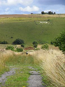 Green Drove, Pewsey - geograph.org.uk - 1560559