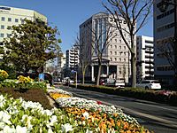 Hamamatsu near city hall
