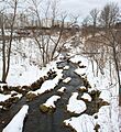 Headwaters - Euclid Creek