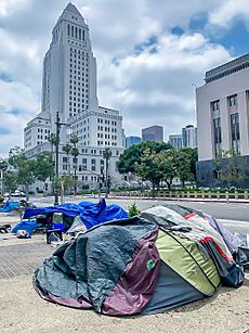 Homeless people, Los Angeles, California