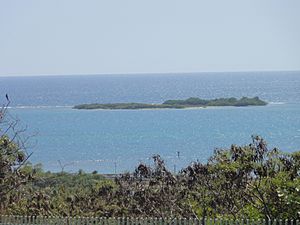 Isla Ratones (vista desde el Hotel Ponce Holiday Inn), Ponce, PR (DSC05629)