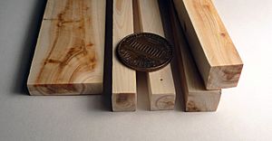 Juniper wood pieces and 1 cent coin