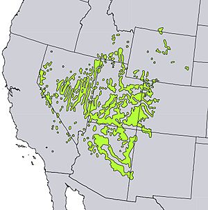 Juniperus osteosperma range map.jpg