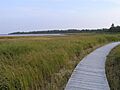 Kouchibouguac