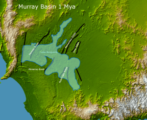 Lake Bungunnia of the Murray Basin