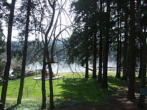 Lake Grove Swim Park