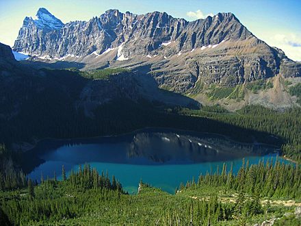 Lake ohara from the wiwaxy trail