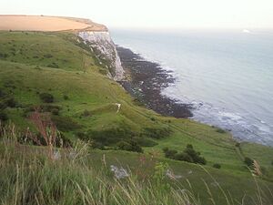 Langdon Hole near Dover - geograph.org.uk - 1520855