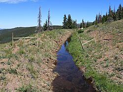 Larkspur Ditch