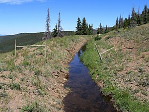 Larkspur Ditch