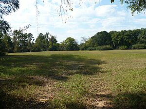 Liddell Archeological Site 001