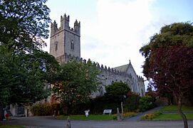 LimerickCity StMarysCathedral