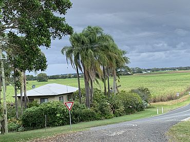 Looking south down Cabbage Tree Point Road over houses and cane fields across Steiglitz with a storm approaching, January 2022.jpg