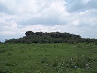 Los Mogotes, Ceero Mesa Ahumada