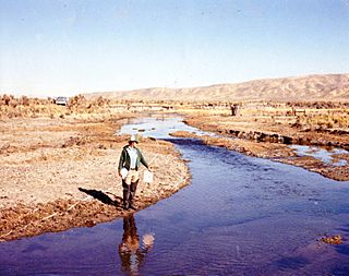 Maggie Creek 1980