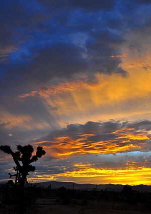 Majestic twilight in the Mojave desert, Landers, California