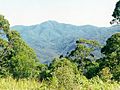 Mount Banda Banda seen from Number 1 fire tower